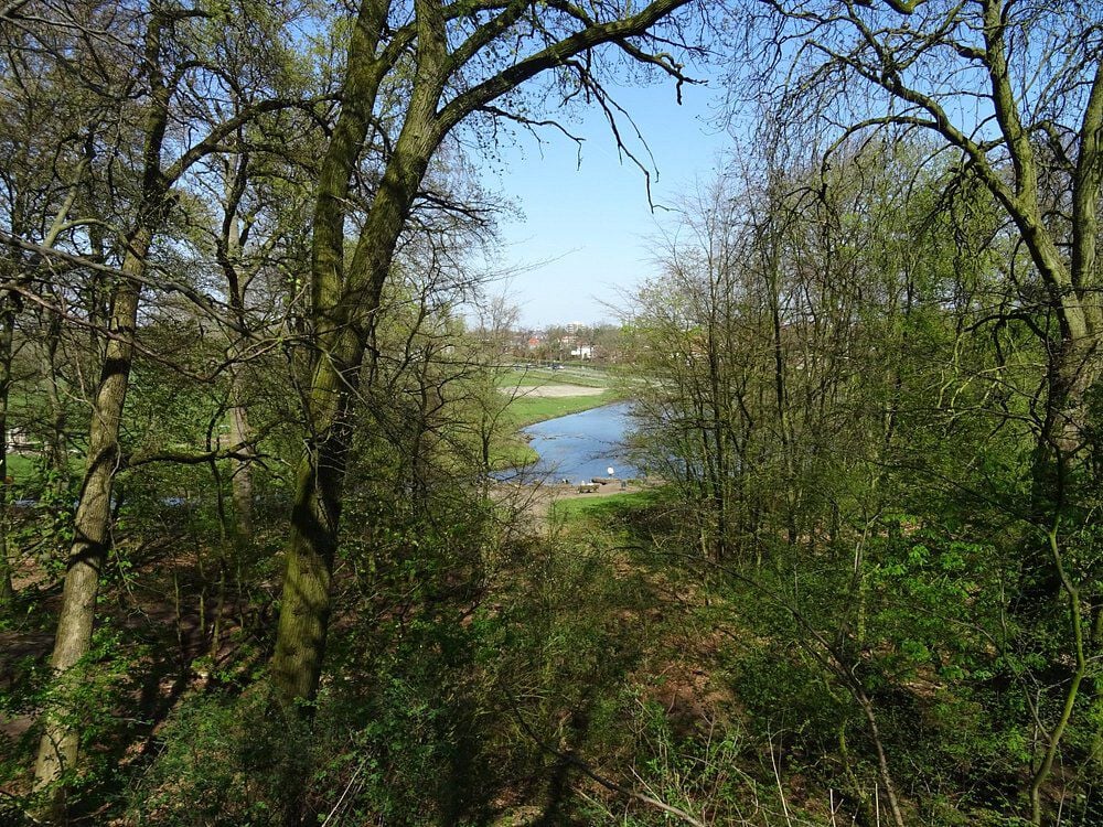 groenendaalse bos noord holland losloopgebieden welkoop